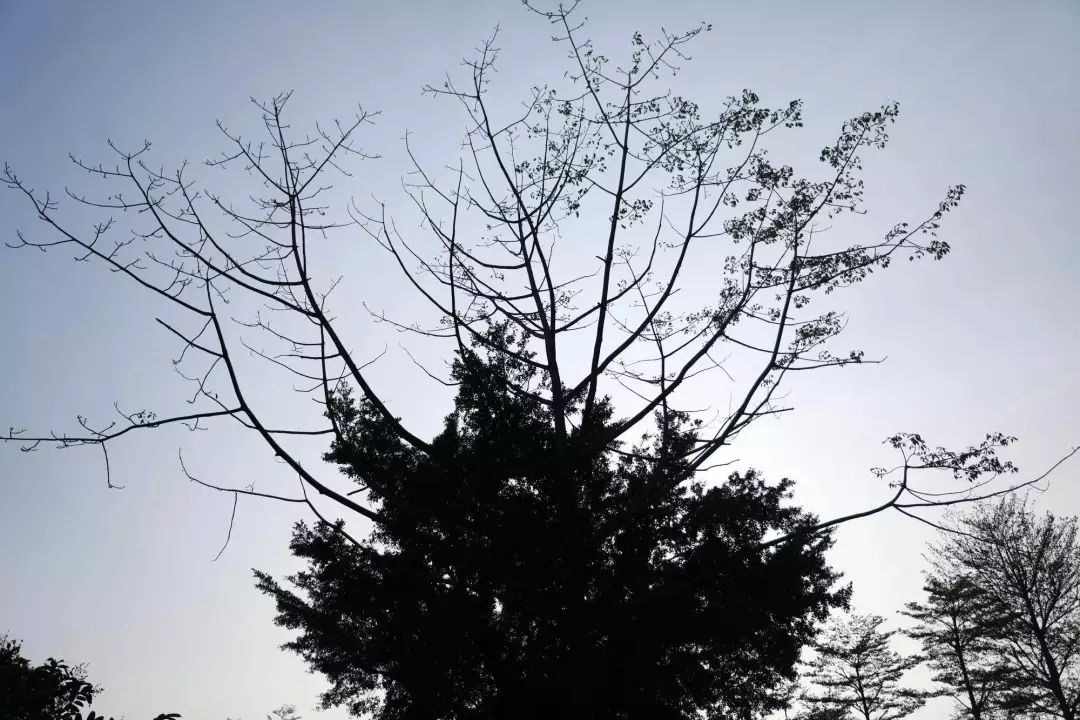 代理记账,环评验收,安评验收
