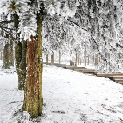 2019年：经济寒冬下我对管理者的10个担心