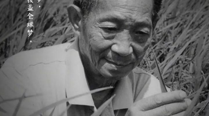 袁隆平走了，但人们会永远记得他的梦